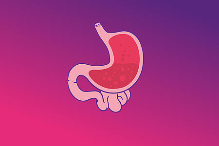 Abbildung eines Magens mit Flüssigkeit