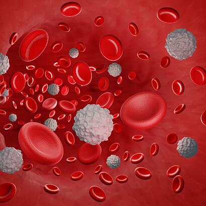 Abbildung eines Blutgefäßes mit roten und weißen Blutkörperchen